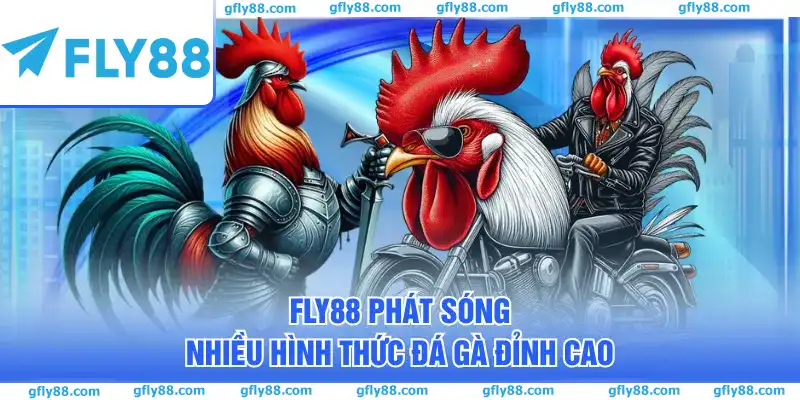 FLY88 phát sóng nhiều hình thức đá gà đỉnh cao